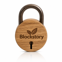 Blockstory Key Safe Wall Mount